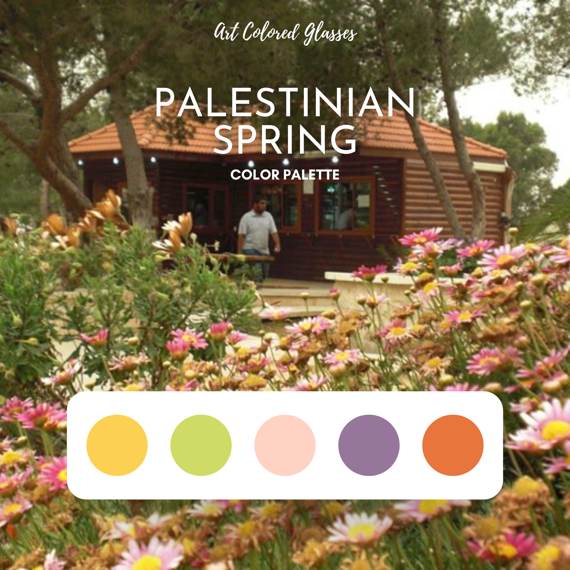 Palestinian Spring Pearl Cotton Thread Set - Naturally Dyed